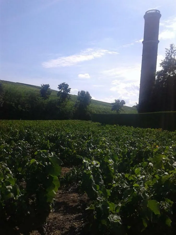 Guest house La Maison Des Vignes Charentay