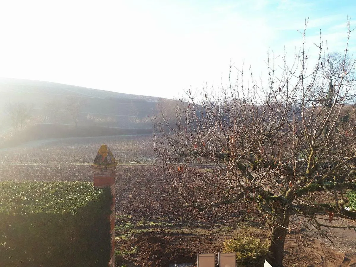 Guest house La Maison Des Vignes Charentay